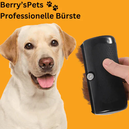 🔥Pet Professional harja🐶🐱💥