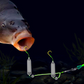 🎣⚡ Kaksoiskoukun pohjasiima! Päivitetty versio parantaa koukkausastetta 50 % – hyvästit takertumiselle! 🎣