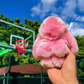🏆RAJOITETTU AIKA - ERIKOISTARJOUS -49% 🐰 Käsintehdyt pehmeät pupupompom-riipukset