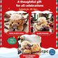 Joulun uusi suosikkilelu! 🐂🎁 Suloinen sarjakuvamainen Villivuohi-pehmolelu 🔥