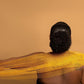 🚿 Täydellinen kylpyhyinen 🚿 Kylpemisen paras kumppani 🛁 Tehokas kuoriutuva kylpysieni