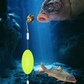 🎣⚡ Kaksoiskoukun pohjasiima! Päivitetty versio parantaa koukkausastetta 50 % – hyvästit takertumiselle! 🎣