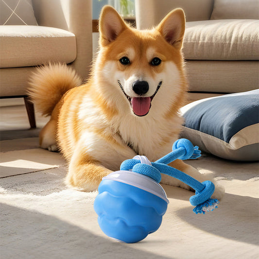 🐾 50% ALE NYT! 🎾 Interaktiivinen Sähköinen Lempieläinlelu Palloa – Automaattiliike, Purentakestävä & Rauhoittava Kissoille/Koirille, Tylsyyden Poistaja 🔋✨📦