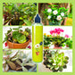 🌿【Monikäyttöinen sisä- ja ulkokasvien ravinne】— Yksi pullo käsissä, maailma on sinun!🌱🏡✨